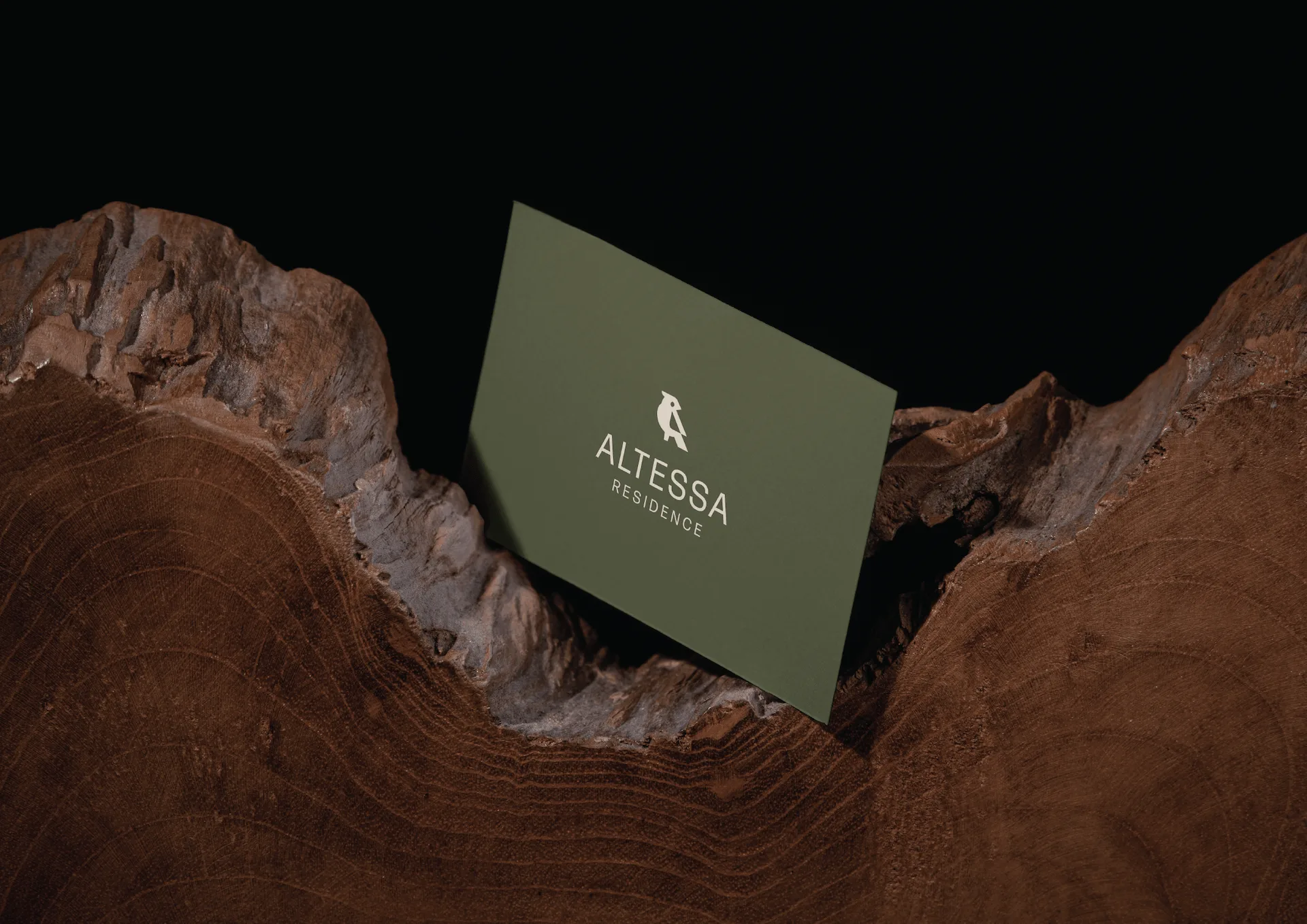 Altessa – vizitka
